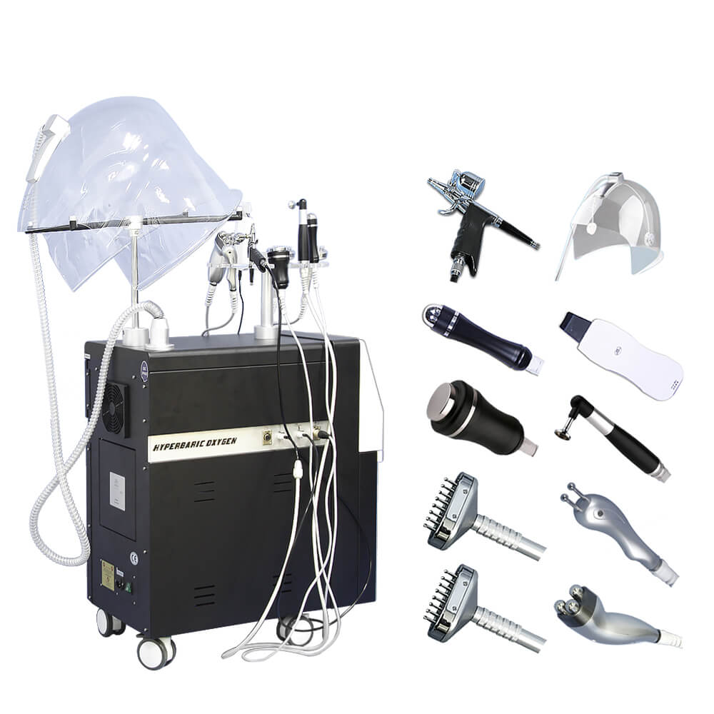 10 in 1 Multifunction Facial Spa High Purity Oxygen